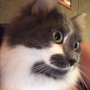 Meet your Posher, Leigha